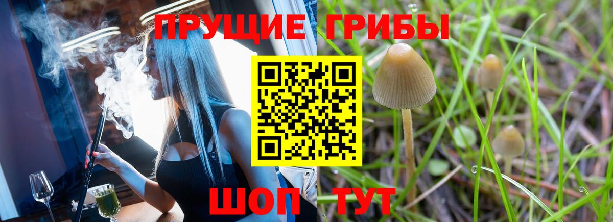 Мыски  Псилоцибиновые грибы MAGIC MUSHROOMS  Псилоцибиновые грибы Cubensis  Вход с VPN 